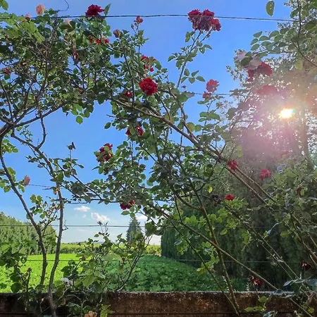 Holiday home Maison Provencale Au Milieu Des Champs